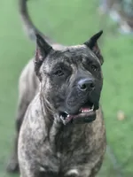 processed/afb5a85f-96b7-43f5-85ad-a4c8af987ce3/listing/1c46ed80-ef5b-4dc8-9f5b-e0cbe931e75b/083c39fe-97ee-41d0-ac2b-83735d1d35b3