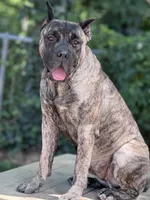 processed/afb5a85f-96b7-43f5-85ad-a4c8af987ce3/listing/1c46ed80-ef5b-4dc8-9f5b-e0cbe931e75b/3b4d06a4-8334-4716-9885-a558a80143b3