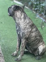 processed/afb5a85f-96b7-43f5-85ad-a4c8af987ce3/listing/1c46ed80-ef5b-4dc8-9f5b-e0cbe931e75b/7d31c496-897d-47e5-9465-b97d802a866a