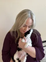 Gucci, a male Goldendoodle for sale in El Cajon, CA – 2 of 7