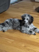 processed/afc1e44d-959f-4e2f-a07d-cc7e5a18722d/listing/446e7908-8fbf-42cf-99e1-29ec11bbf1ca/14987e87-fe2b-40bb-a29f-4ff1f9f38b0b