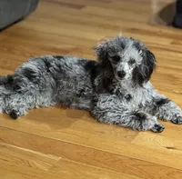 processed/afc1e44d-959f-4e2f-a07d-cc7e5a18722d/listing/446e7908-8fbf-42cf-99e1-29ec11bbf1ca/77a2f3d6-3081-432b-9a89-000f11e6cc3c