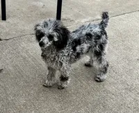 processed/afc1e44d-959f-4e2f-a07d-cc7e5a18722d/listing/446e7908-8fbf-42cf-99e1-29ec11bbf1ca/9e27cafd-a1ae-495a-a870-395a98c43ae3