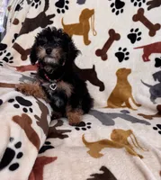 processed/afc1e44d-959f-4e2f-a07d-cc7e5a18722d/listing/a0a330bf-e78b-4613-8194-eea68fe523f9/a89f2e18-aabc-4926-8226-a352d2b9c79f