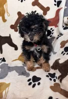 processed/afc1e44d-959f-4e2f-a07d-cc7e5a18722d/listing/a0a330bf-e78b-4613-8194-eea68fe523f9/b779db4f-fc44-434d-8c6c-c00cb97c9428