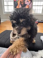 processed/afc1e44d-959f-4e2f-a07d-cc7e5a18722d/listing/a0a330bf-e78b-4613-8194-eea68fe523f9/ba89f1e5-da56-4aa1-befc-a75c17d0322e