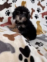 processed/afc1e44d-959f-4e2f-a07d-cc7e5a18722d/listing/a0a330bf-e78b-4613-8194-eea68fe523f9/ddc2b2fb-7ffa-4d05-82df-313e03c705d1