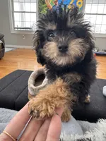 processed/afc1e44d-959f-4e2f-a07d-cc7e5a18722d/listing/a0a330bf-e78b-4613-8194-eea68fe523f9/edc0de14-0d04-4f0e-b043-6eb6be733086