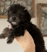 processed/afc1e44d-959f-4e2f-a07d-cc7e5a18722d/listing/fbf555f9-4ae4-45fa-8a87-4c8ab3793e2b/2ab9d632-6136-458f-8a81-86ab88662c28