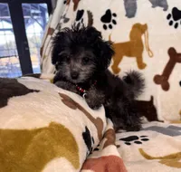 processed/afc1e44d-959f-4e2f-a07d-cc7e5a18722d/listing/fbf555f9-4ae4-45fa-8a87-4c8ab3793e2b/3339fde4-4097-466b-8f75-ee87cfb1342d