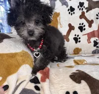 processed/afc1e44d-959f-4e2f-a07d-cc7e5a18722d/listing/fbf555f9-4ae4-45fa-8a87-4c8ab3793e2b/5db26716-42b3-409a-9ccc-11e0b71d08ae