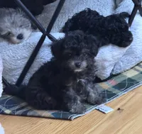 processed/afc1e44d-959f-4e2f-a07d-cc7e5a18722d/listing/fbf555f9-4ae4-45fa-8a87-4c8ab3793e2b/61379b95-f7f2-4102-8c80-4fdbffa87f4b