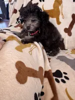 processed/afc1e44d-959f-4e2f-a07d-cc7e5a18722d/listing/fbf555f9-4ae4-45fa-8a87-4c8ab3793e2b/62f1fa86-672a-4906-882f-708f1363dc27