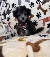 processed/afc1e44d-959f-4e2f-a07d-cc7e5a18722d/listing/fbf555f9-4ae4-45fa-8a87-4c8ab3793e2b/b04d50c3-2d16-460c-b150-efe866cf3e7b