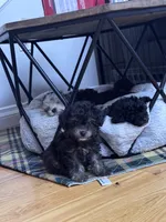 processed/afc1e44d-959f-4e2f-a07d-cc7e5a18722d/listing/fbf555f9-4ae4-45fa-8a87-4c8ab3793e2b/cc45d338-80fa-4e74-bb82-57f8621eb49b