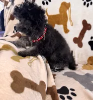 processed/afc1e44d-959f-4e2f-a07d-cc7e5a18722d/listing/fbf555f9-4ae4-45fa-8a87-4c8ab3793e2b/f908d0ad-19ec-4a9f-ba3f-fed32b8f4716