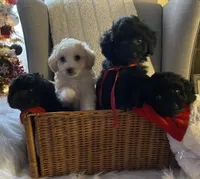 processed/afc99cdb-5fa9-4529-b540-f5a2ff70838a/facility/3e00d8dc-8724-409e-bdc4-cf1ef8f52c0b