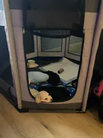 processed/afc99cdb-5fa9-4529-b540-f5a2ff70838a/facility/f2dc93f0-872b-48f1-bc80-eaaf806632c4