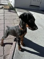 processed/afc9a7ec-3226-41f0-8ae8-70af03142c7f/listing/e173e5ac-0295-4813-a539-3ecc76bfda98/88e4e93c-76d0-4ad8-b897-526cd2cc518c