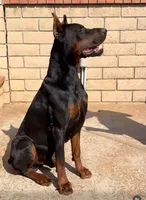 processed/afc9a7ec-3226-41f0-8ae8-70af03142c7f/listing/e173e5ac-0295-4813-a539-3ecc76bfda98/95a088e2-4c3c-42d0-89ec-b31c2bc404c0