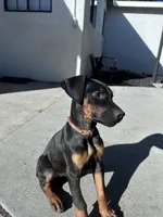 processed/afc9a7ec-3226-41f0-8ae8-70af03142c7f/listing/e173e5ac-0295-4813-a539-3ecc76bfda98/c853dbff-50c6-43c7-b0be-c97d9efbd7d3