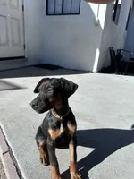 processed/afc9a7ec-3226-41f0-8ae8-70af03142c7f/listing/e173e5ac-0295-4813-a539-3ecc76bfda98/ee83c735-0dde-4722-a728-e550afa16887