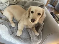 processed/afd08e7b-7e31-45c3-aa2c-d3b0918be386/facility/1f233dfc-a1b8-45f5-a118-9cc4297a9047