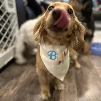 processed/afd08e7b-7e31-45c3-aa2c-d3b0918be386/facility/6efe9aab-91c4-4b82-adc6-df8690256a0b