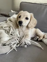 processed/afd08e7b-7e31-45c3-aa2c-d3b0918be386/facility/71f731bd-2eba-4bff-adf5-e955d9b0239e