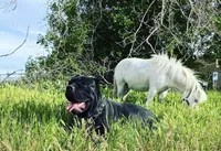 processed/afd08e7b-7e31-45c3-aa2c-d3b0918be386/facility/783bbf84-4a47-4c74-8c9e-acf47a0fdb81