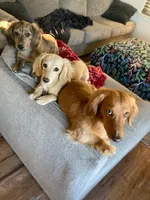 processed/afd08e7b-7e31-45c3-aa2c-d3b0918be386/facility/79c4f27f-e85c-49c1-9d11-1ee1860ebd6c