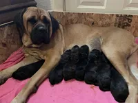 processed/afd08e7b-7e31-45c3-aa2c-d3b0918be386/facility/8eef2084-2f45-41bb-a045-3bbabfb9f873