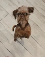 processed/afd43702-61dd-4213-bc16-0396e9f8ff46/facility/0df983a4-d513-4797-91b0-cc50d76cf777