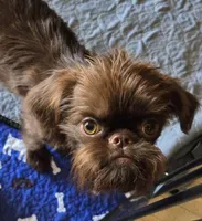 processed/afd43702-61dd-4213-bc16-0396e9f8ff46/facility/31742314-51a9-4ab1-9ad9-8bb9ba04eaa7