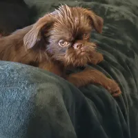 processed/afd43702-61dd-4213-bc16-0396e9f8ff46/facility/4e209bac-7bc8-4b22-92c5-76896a7c9c16