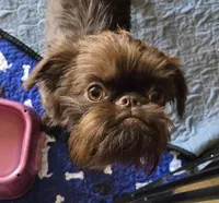 processed/afd43702-61dd-4213-bc16-0396e9f8ff46/facility/b99c6e56-dbc6-4fd1-acc2-3e23380d1427