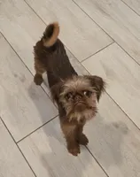 processed/afd43702-61dd-4213-bc16-0396e9f8ff46/facility/c833e572-4505-4a3d-8aaf-64d46ad7135b