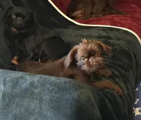 processed/afd43702-61dd-4213-bc16-0396e9f8ff46/facility/df37ba8e-9f2f-49ea-aba5-a1439d03ce72