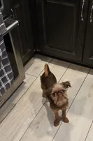 processed/afd43702-61dd-4213-bc16-0396e9f8ff46/facility/dfa0253e-4831-4077-b930-a047c7d2f155