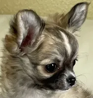 processed/afd9f166-eea9-43d1-a897-b96fbacb08e0/facility/d69c95c0-3c75-4551-8ca9-d3f88c543385