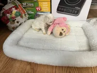 processed/afdf6693-265a-4971-b97e-408f71778683/listing/0bbe4dff-fe65-4be1-8762-6e391fa54e6a/5b0306ee-d23d-4fdb-935a-dc57d8e70429