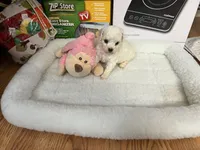 processed/afdf6693-265a-4971-b97e-408f71778683/listing/0bbe4dff-fe65-4be1-8762-6e391fa54e6a/5bdd029f-7fa6-4fad-8c39-adcd4d75610e