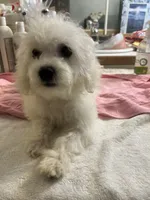 processed/afdf6693-265a-4971-b97e-408f71778683/listing/0bbe4dff-fe65-4be1-8762-6e391fa54e6a/6c21c8f8-73b5-4852-a95d-df053bd41212