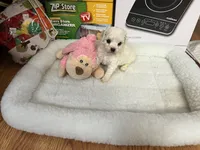 processed/afdf6693-265a-4971-b97e-408f71778683/listing/0bbe4dff-fe65-4be1-8762-6e391fa54e6a/c4e28880-35c0-4630-bed2-f15e19feb5c2