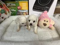 processed/afdf6693-265a-4971-b97e-408f71778683/listing/5ed30f12-83c9-4c6f-8ece-1d68ff6c41c9/3962c688-1adf-4798-9d37-d850c8e6ffc2