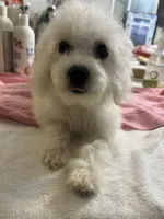 processed/afdf6693-265a-4971-b97e-408f71778683/listing/5ed30f12-83c9-4c6f-8ece-1d68ff6c41c9/91c6f495-b393-4435-91e2-e2d51f6525b4