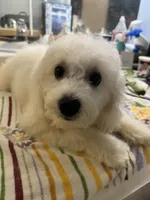 processed/afdf6693-265a-4971-b97e-408f71778683/listing/64d2f2a0-e51a-4515-a2bd-3f9ce93a2a82/2feba8e9-1789-4ecd-bf61-488d392f225b