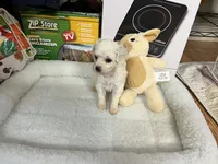 processed/afdf6693-265a-4971-b97e-408f71778683/listing/64d2f2a0-e51a-4515-a2bd-3f9ce93a2a82/48d8af59-7865-42f3-80ac-1fe84c9aca99