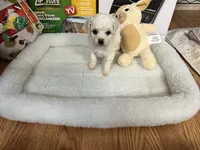 processed/afdf6693-265a-4971-b97e-408f71778683/listing/64d2f2a0-e51a-4515-a2bd-3f9ce93a2a82/493a86df-0df4-4ba5-9d03-0f02d23bcc41