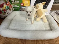 processed/afdf6693-265a-4971-b97e-408f71778683/listing/64d2f2a0-e51a-4515-a2bd-3f9ce93a2a82/c37e683b-a312-4ecd-987b-6d8d11973d18